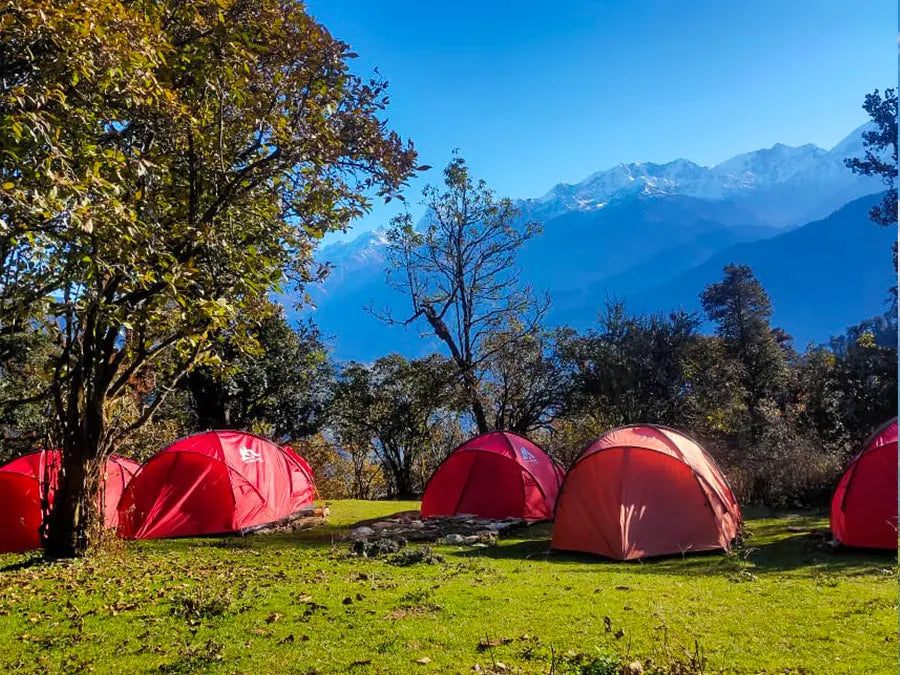 Dayara Bugyal Trek (4N 5D)