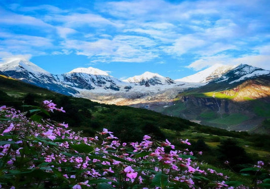 Panchachuli Base Camp Trek