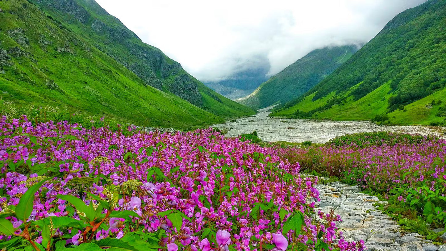 VALLEY OF FLOWERS TREK – HIMALAYAN JOY (6D 5N)